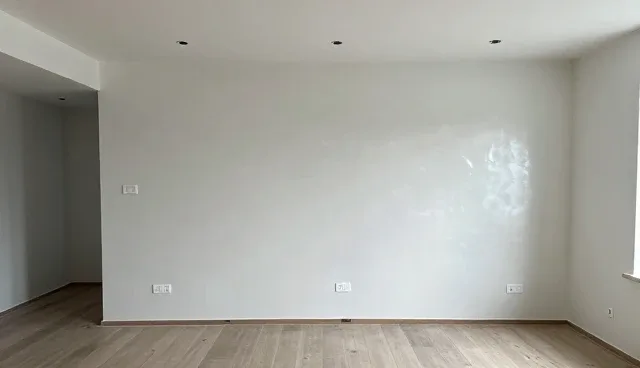 算法更新对网络推广性能的影响与适用场景分析