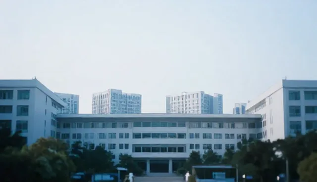 企业官网建设中技术限制的影响及应对策略